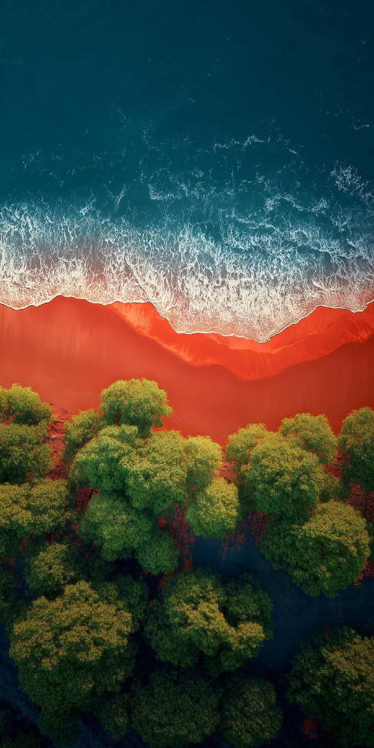 Phone wallpaper: The contrast of the forest and the ocean