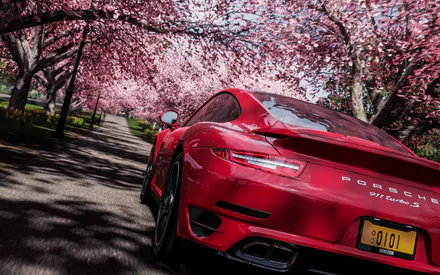 Porsche 911 Carrera S, Красный, Спорткар