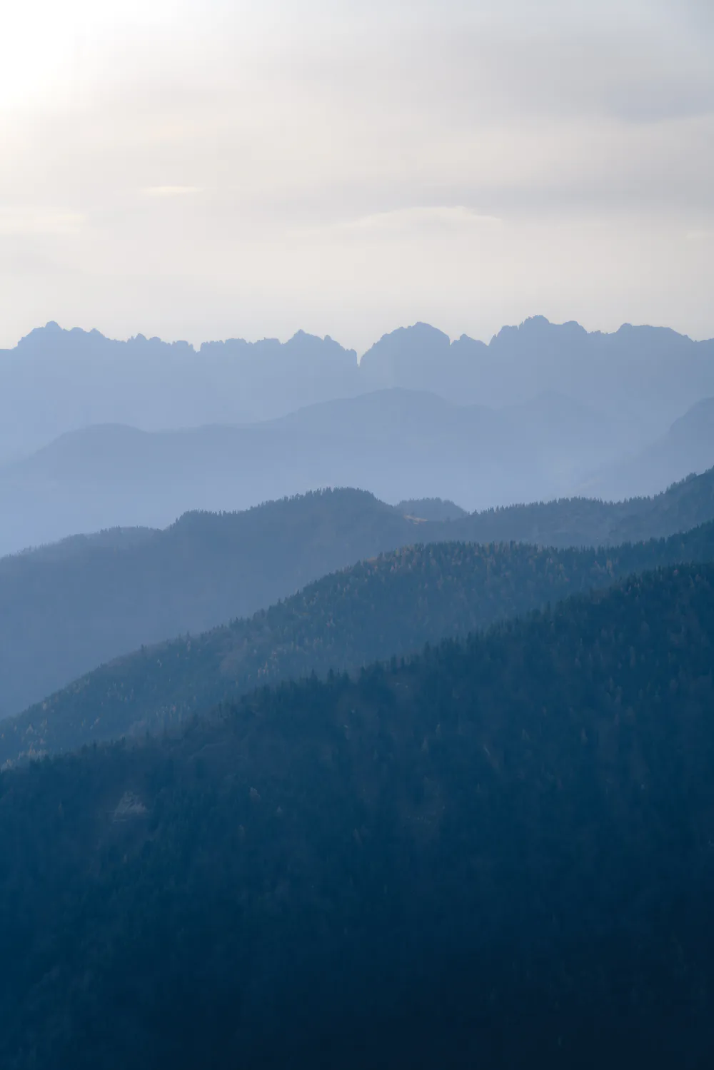 Шпалери Кампенвальд 3440x1440