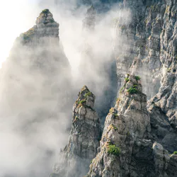 Purple peak