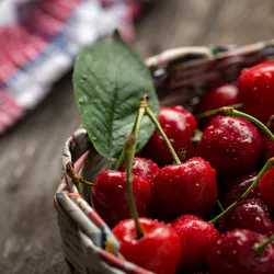 Berries