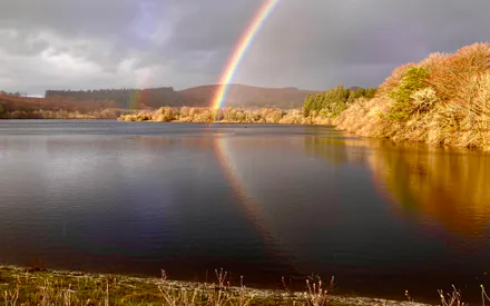 Радуга, Отражение