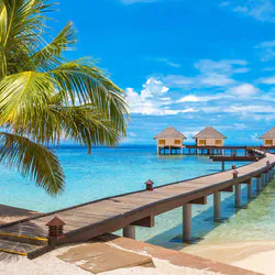 Jetty