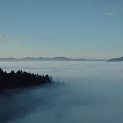 Stillness