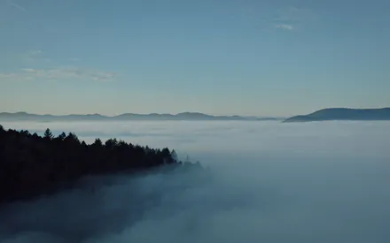 Mountains, Fog, Clouds, Forest, Trees, Sky, Landscape, Nature, Morning, Dawn, Haze, Horizon, Panorama, Height, Serenity