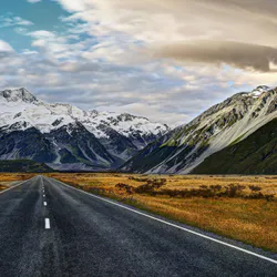 Forest under the mountains