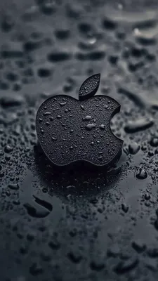 Logo, Water Drops, Dark, Wet, Black, Wallpaper