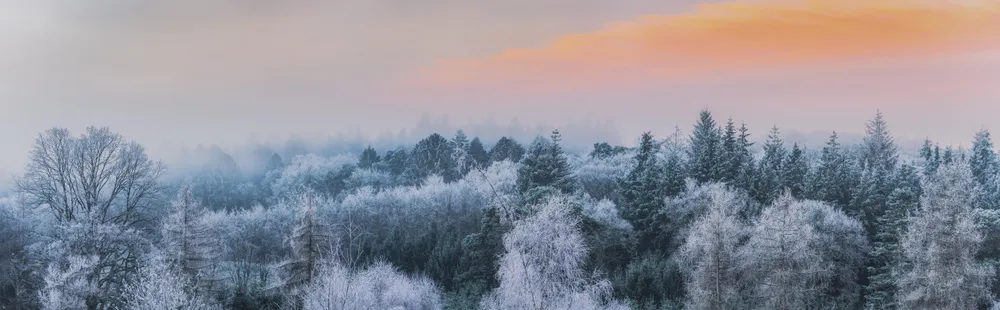 Wallpaper Freezing 1920x1200
