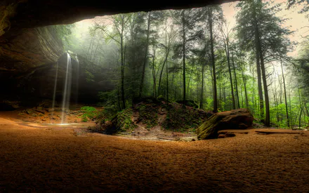 Cave, Forest, Fog, Rocks, Greenery, Moss, Light