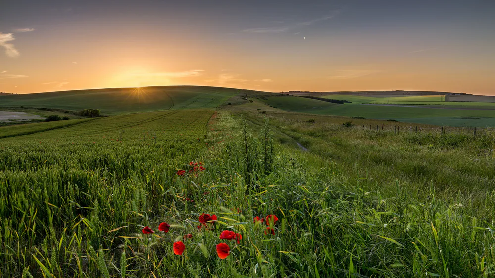 Обои Природа 2560x1600