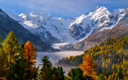 Горы, Альпы, Снег, Ледник, Осень, Лес, Хвойные деревья, Лиственницы, Туман, Облака, Небо, Природа, Пейзаж, Скалы, Долина, Путешествия, Швейцария