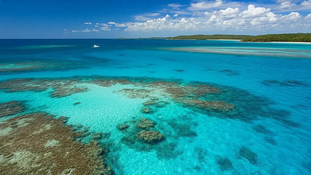 Обои на рабочий стол: The Great Barrier Reef