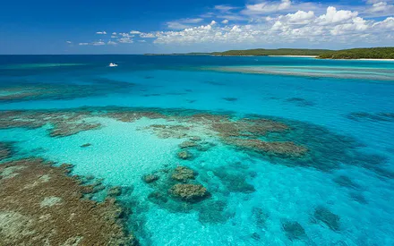 Океан, Австралія, Море, Риф