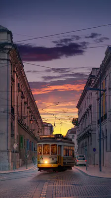 Tram, Lisbon, Street, Pavement, Architecture