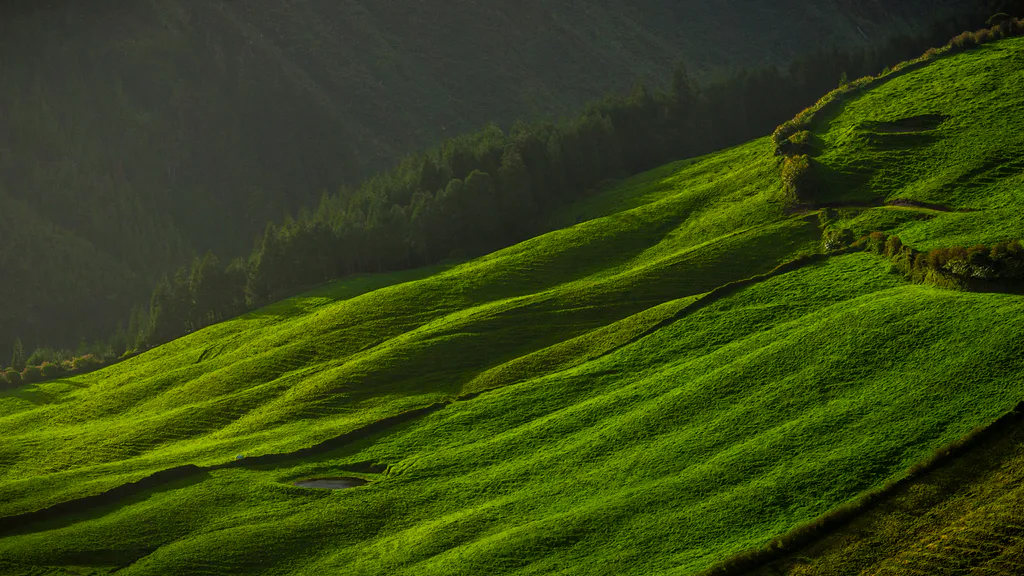 Desktop wallpaper: Green hills