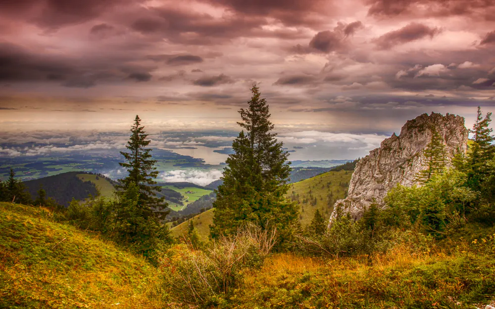 Wallpaper Nature 2560x1440