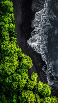 Лес, Побережье, Волны, Черный песок, Аэрофото, Океан, Текстура воды, Amoled