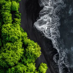 Flow of the Golden River