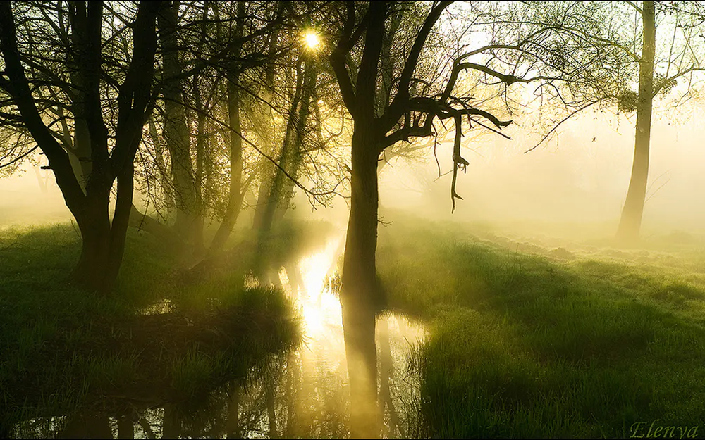 Wallpaper Fog 540x960