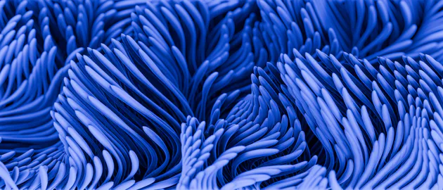 3d, Flowing, Curves, Blue, Texture, Organic, Pattern, Ultrawide