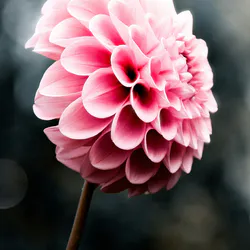 Горж дю Вердон