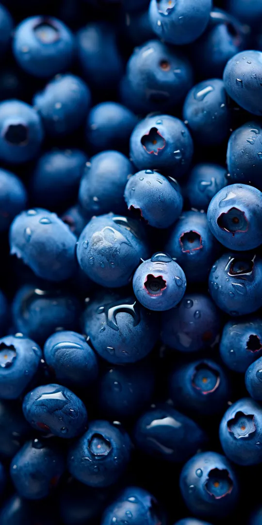 Обои на телефон: Свежая черника крупным планом