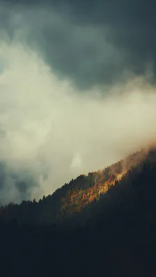 Forest, Clouds, Sunlight, Slope, Shadow, Golden Leaves, Atmospheric