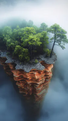 Сосна, Клифф, Скала, Зеленый, Туман, Деревья, Природа, На открытом воздухе