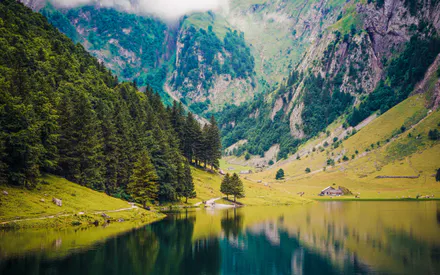 Зелень, Вічнозелені рослини, Відображення, Вода, Котедж, Схил пагорба, Хмари