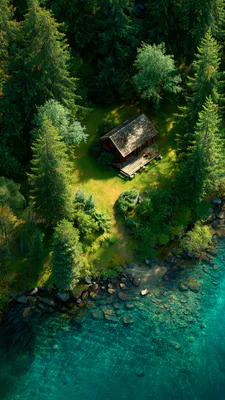 Сосновый лес, Бревенчатый домик, Берег озера, Чистая вода, Зелень, Солнечный свет, Скалы, Природа, Спокойствие