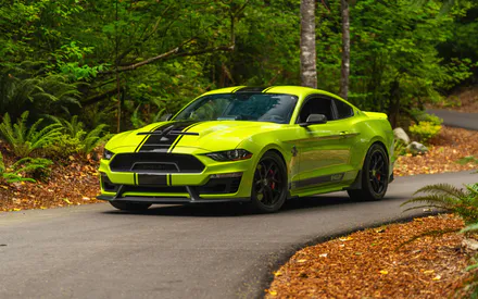 Зелений, Чорний, Смуги, Купі, Спортивний автомобіль, Шелбі, Musclecar, Асфальт, Дерева