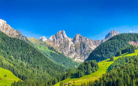 Evergreen, Meadow, Peaks, Hillside, Hut, Clearblue, Summer, Mountains, Landscape