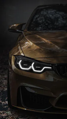 BMW, Автомобіль, Передня частина, Фари BMW, Решітка радіатора, Коричневий автомобіль, Автомобіль у лісі, Освітлення фар