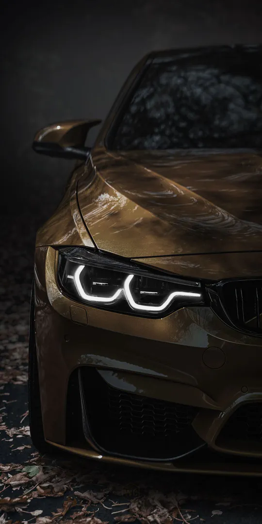 Шпалери на телефон: Темний BMW у лісі