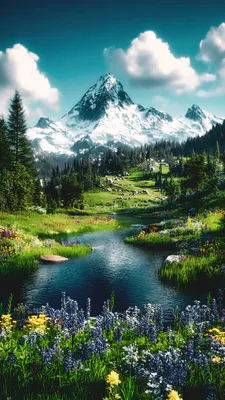 Mountains, Snowy Peaks, Mountain River, Coniferous Forest, Alpine Valley, Wild Flowers, Mountain Landscape