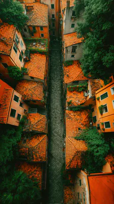 Old Architecture, Terracotta Roofs, Narrow Street, Historic Quarter, Top View, Urban Development, Italy, AI Art