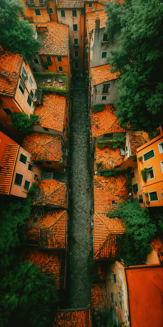 Phone wallpaper: The tiled roofs of Rome
