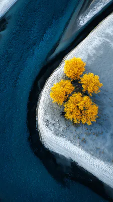 Snow, Yellow Trees, Winter Landscape, Aerial Photography, Ice Surface, Dark Blue Water