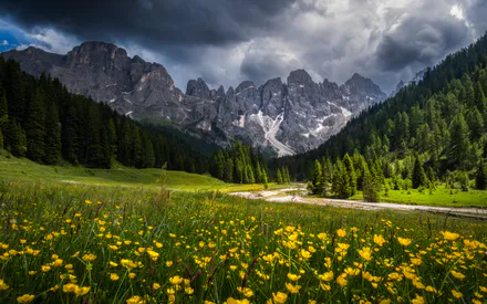 Landscape, Landscape, Flowers, Valley, Forest, Nature, Clouds, Clouds