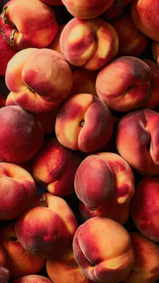 Peach, Fruits, Juicy, Summer