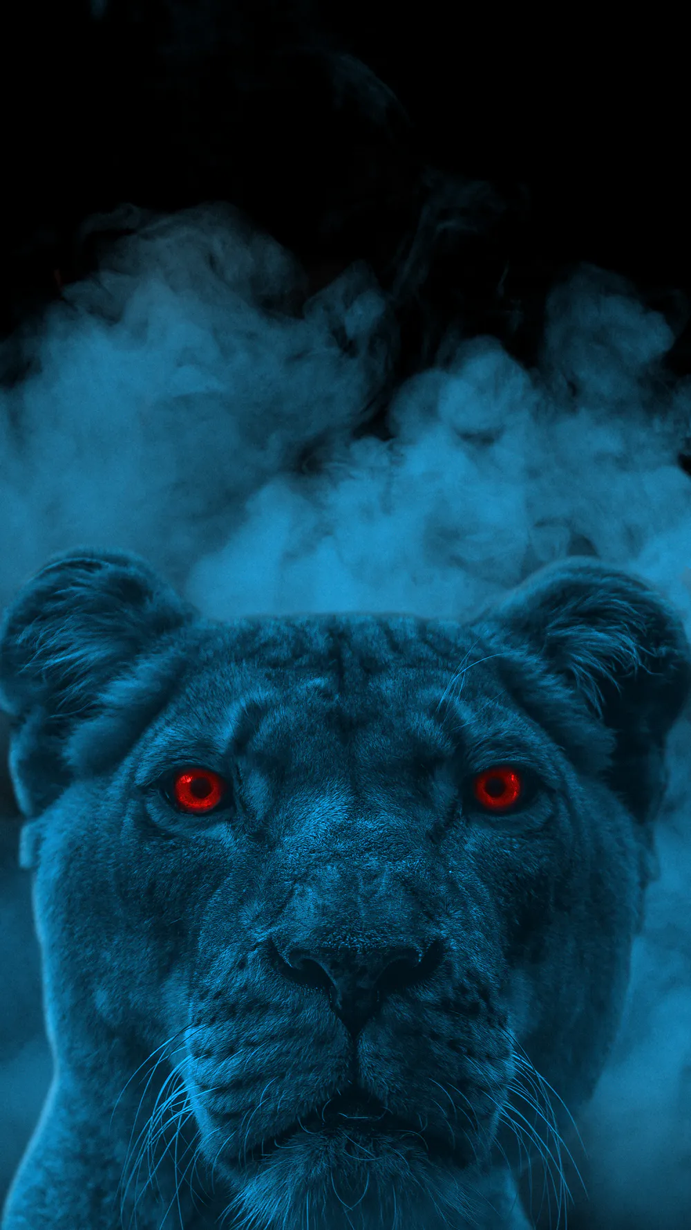 Wallpaper Panther 1440x900