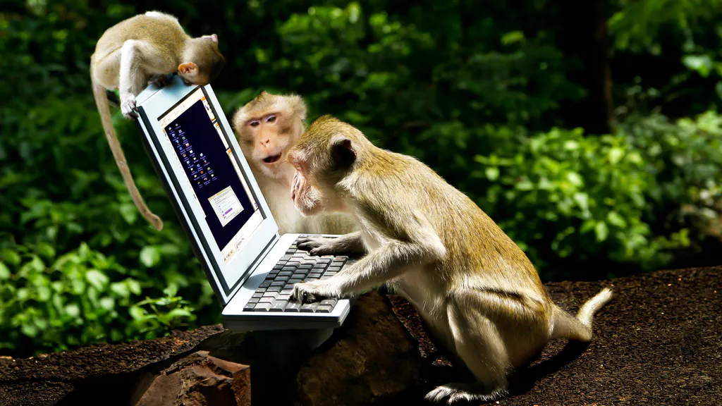 Monkeys interested in computers, Three, Monkeys, Interested, Computer ...
