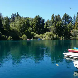 Lake Bottom