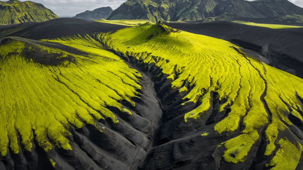 Обои на рабочий стол: Изумрудный контраст