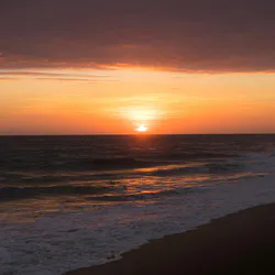 Silently Watching Darkscape