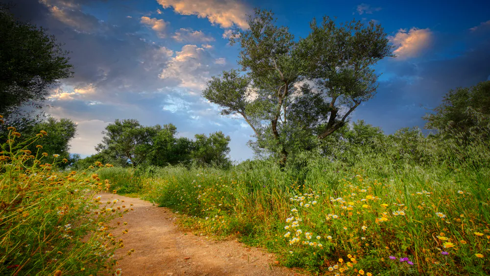 Wallpaper Summer 3440x1440