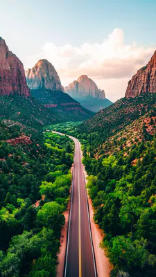 Пейзаж, Природа, Каньйон, Гори, Дорога, Зелень, Ліс, Сонце, Подорожі, Вертикальний, Американський