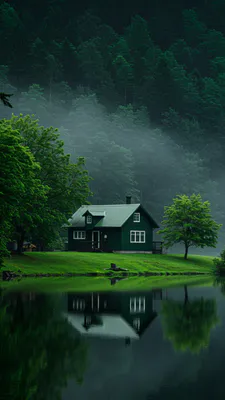 Ліс, Відображення в воді, Туман, Зелена хата, Спокій, Трав’яний схил