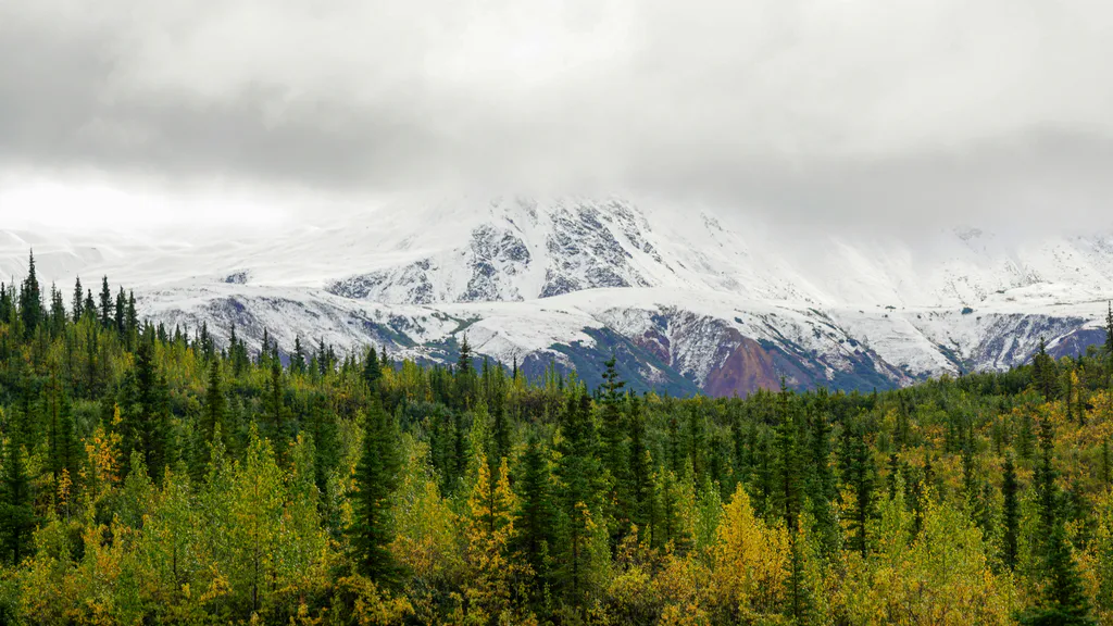 Desktop wallpaper: Misty peaks