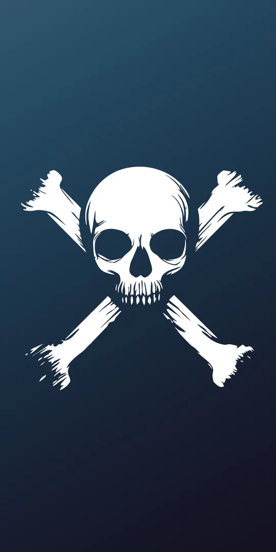 Шпалери на телефон: Піратський череп